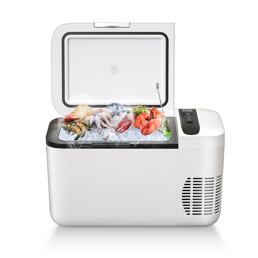 Portable 22L Compressor Mini Electric Refrigerator 12/24V Car Freezer Cooler with 12V 220V Plastic Material for Cars	