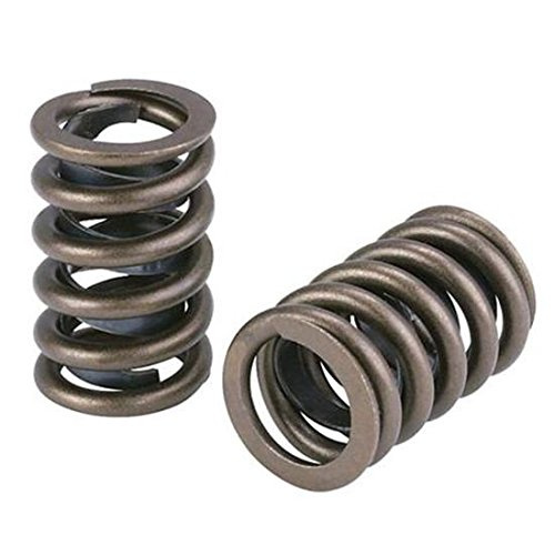 OE Factory Steel Valve Spring for Car Bus Truck Tractors Engine