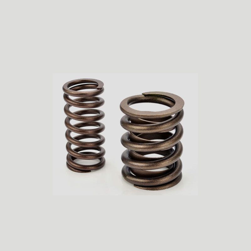 OE Factory Steel Valve Spring for Car Bus Truck Tractors Engine